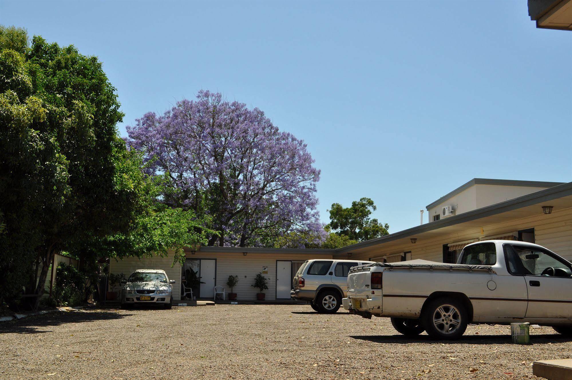 Red Cedar Motel Muswellbrook Dış mekan fotoğraf